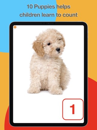 10 Puppies screenshot