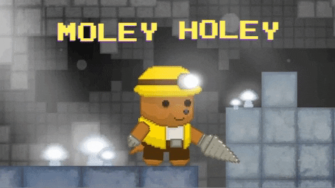 Games like Moley Holey