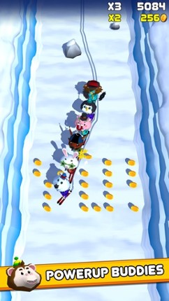 Ski Zoo Image