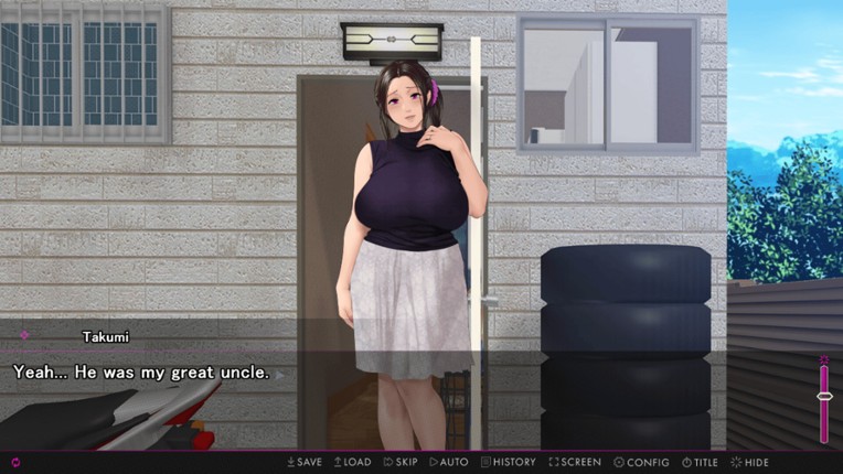 Afternoon Affairs & Helpless Housewives screenshot
