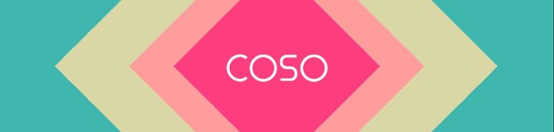 COSO Image