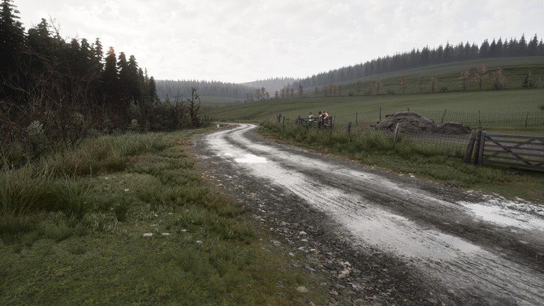Assetto Corsa Rally screenshot