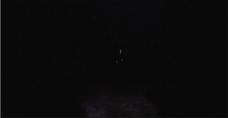 Slenderman The eight pages RTX screenshot