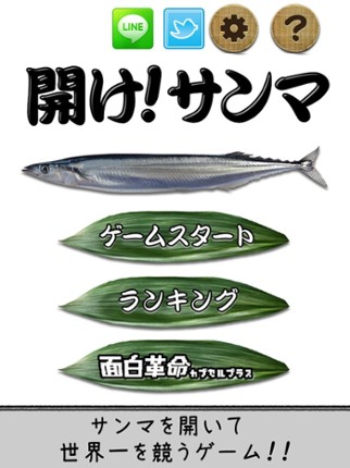 OpenSaury Image