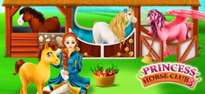 Princess Horse Club 3 Image