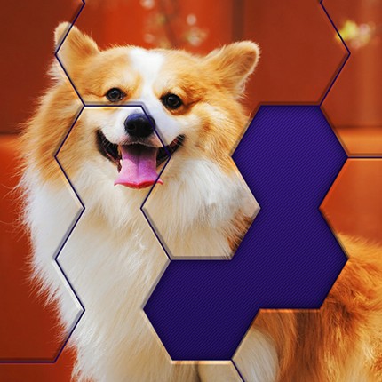 Hex Block Jigsaw Puzzle Image