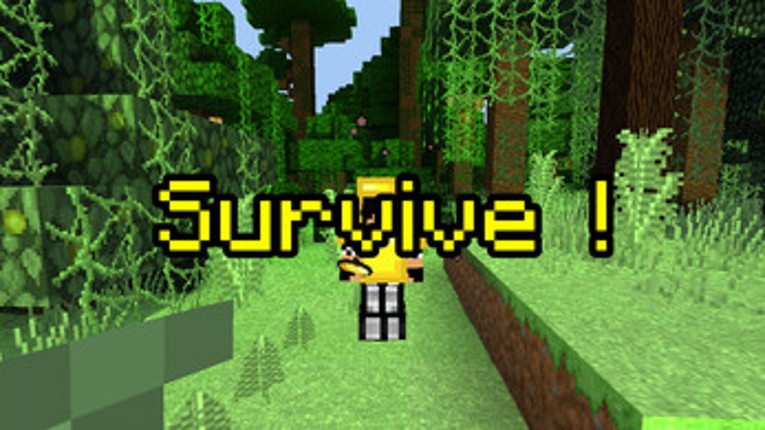 QuadroCraft 2.0 Image