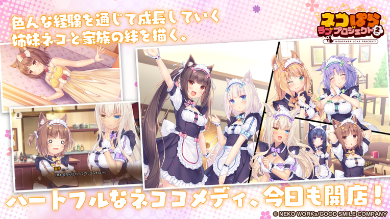 Nekopara Love Project Vol.2 Image