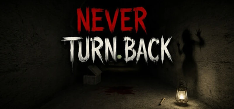NEVER TURN BACK Image