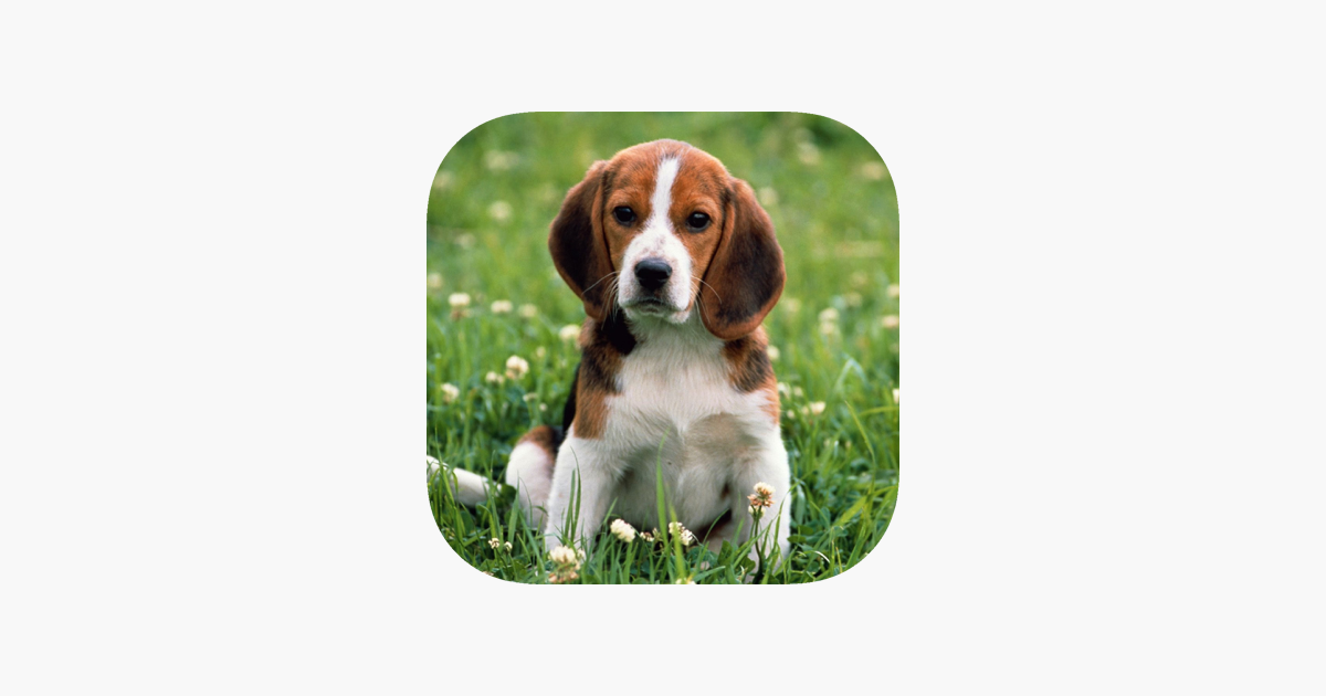 Games like Sound Touch for Kids