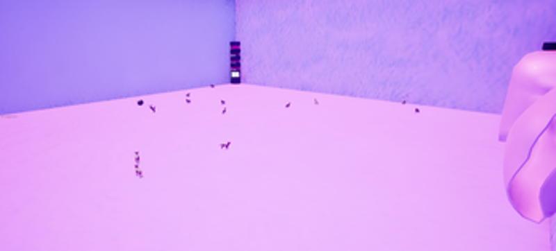 Crazy Kitten 3D Image