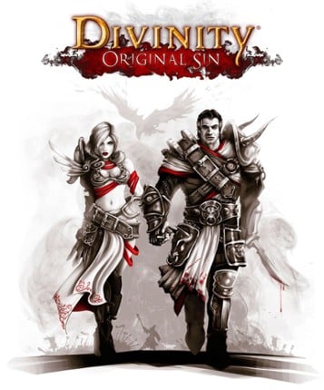 Divinity: Original Sin Game Cover