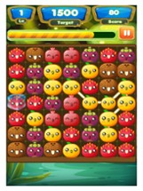 Fruit Match 3 Puzzle - Amazing Link Splash Mania Image