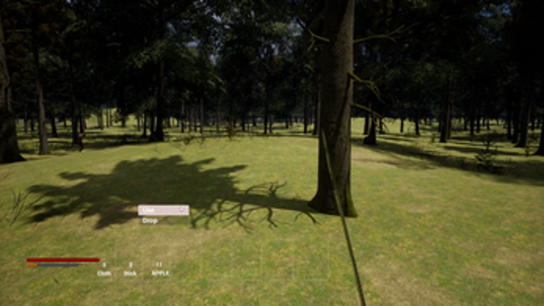 Island of the last survivor screenshot