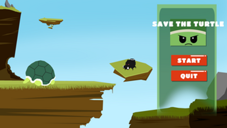Save the Turtle Image