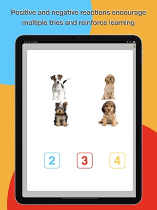 10 Puppies Image