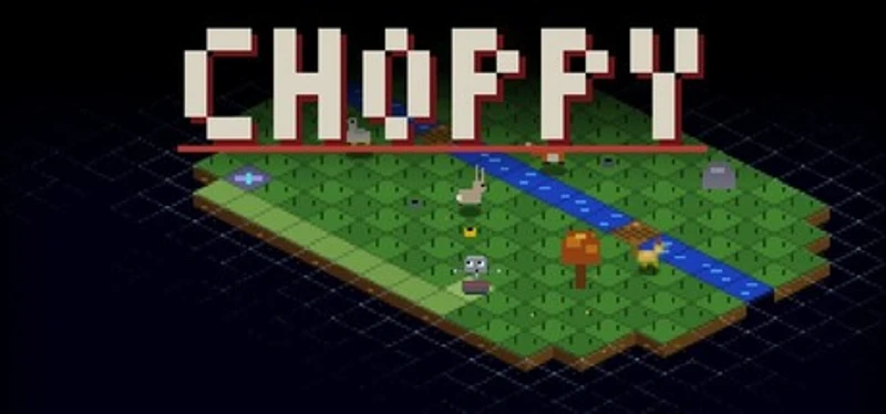 Choppy Image