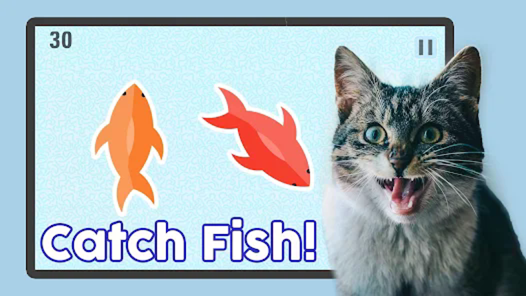 Fish for Cats - Cat Fishing Image