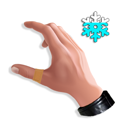 HOLOTHERMIA Image