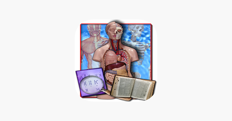 Medical Terminology Quizzes Game Cover