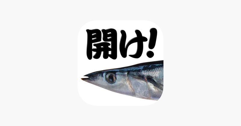 OpenSaury Image