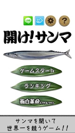 OpenSaury Image