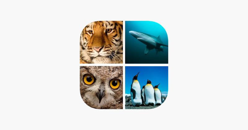 Animal Quiz Close Up : Guess the Word Trivia Games Image