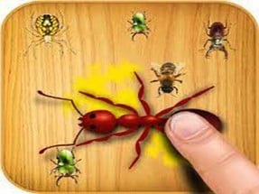 Ants Touch Image