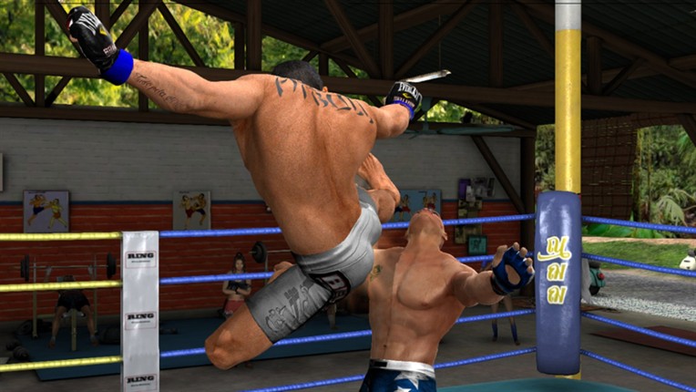 Bellator: MMA Onslaught screenshot