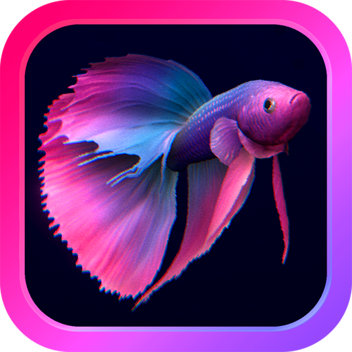 Games like Bettarium - Betta Fish Tank