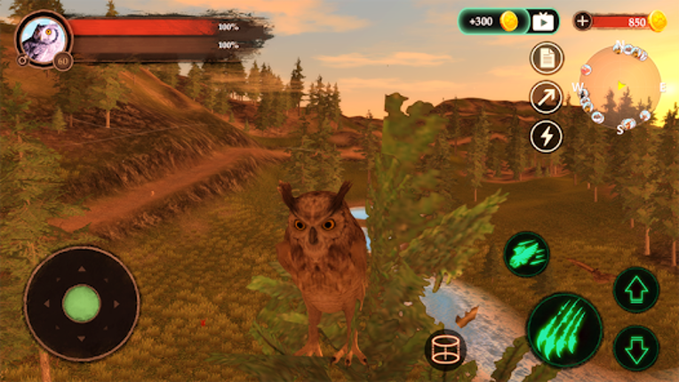 The Owl screenshot