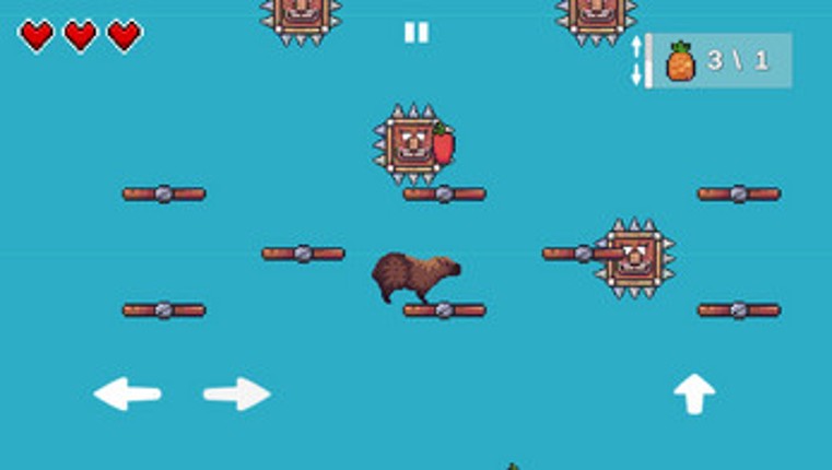 Capybara Run-Jump screenshot