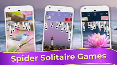 Spider Solitaire Classic Games Image