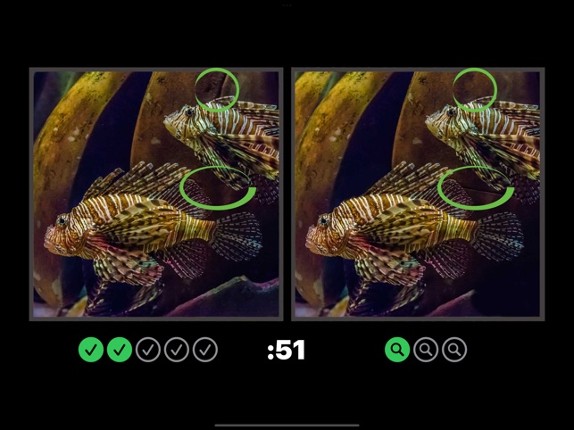 Spot the Difference Image Hunt Image