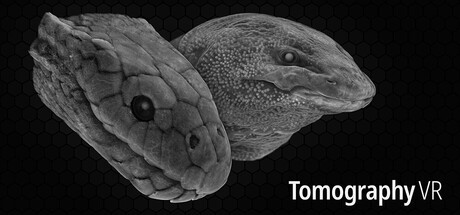 Games like Tomography VR