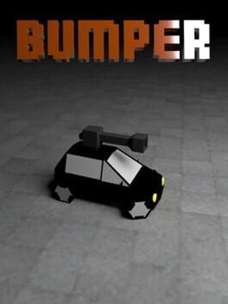 Bumper Image