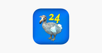 DoDo 24 Image