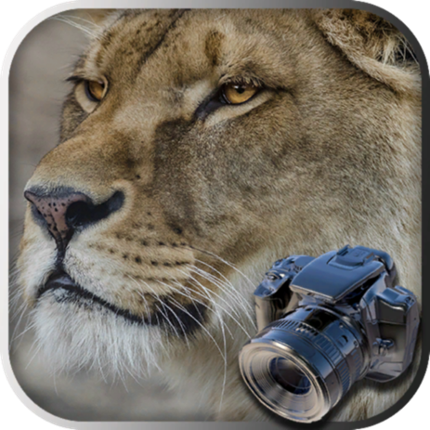 Hidden Object Safari - Animals Game Cover