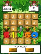 Jungle Math Bingo Image