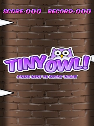 Tiny Owl screenshot