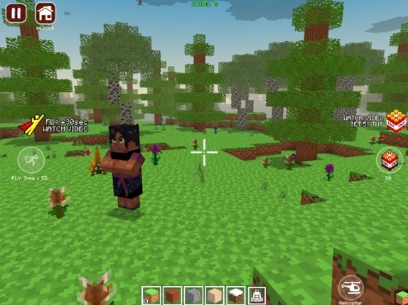 World Craft Dream Island screenshot