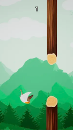 Sparrow Adventure:Endless Dash screenshot