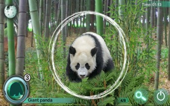 Hidden Object Safari - Animals Image