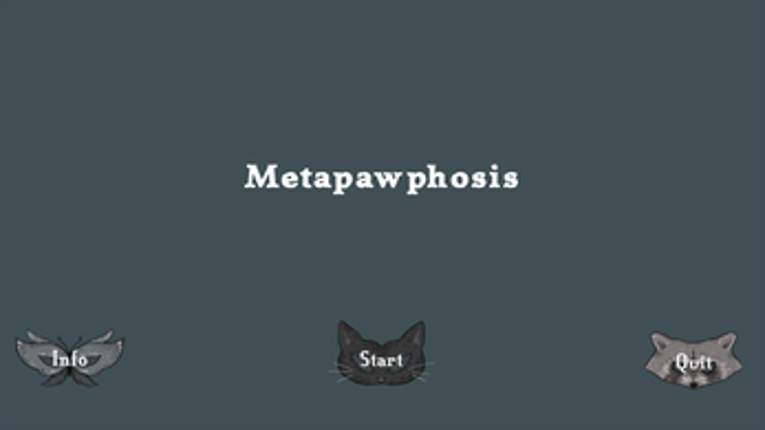 Metapawphasis Image