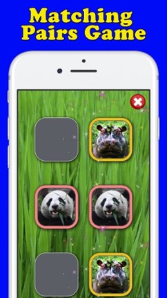 Play & Learn Animal Flashcards Image