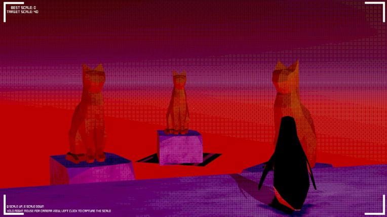 Capturing Scale Image
