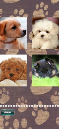 Cute Puppies Puzzle screenshot