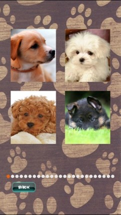 Cute Puppies Puzzle screenshot