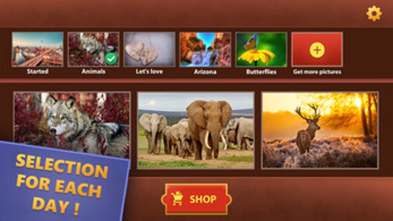 Jigsaw Puzzles World Image