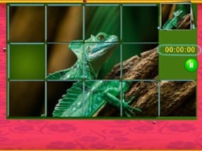 Magic Puzzle Animal Image